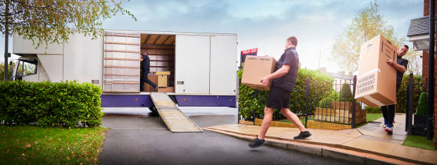 professional removalists